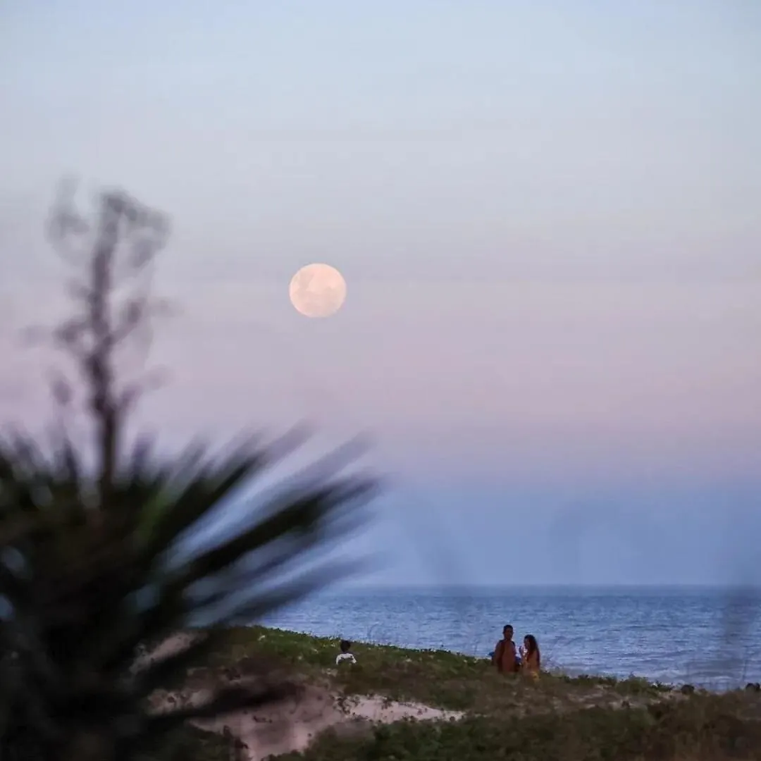 Essence Campeche Charme E Acesso Vip A Praia Florianopolis